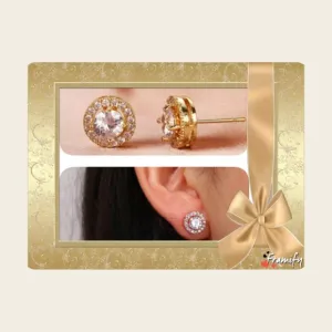 Classy Brand New Earrings