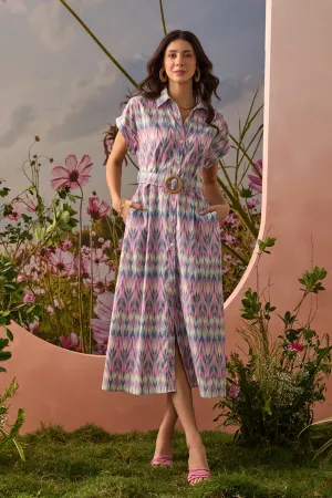 Ikkat Psychedelic Statement Dress